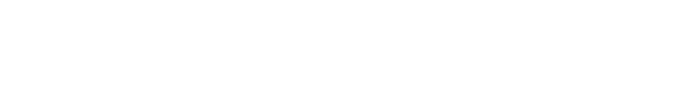 solutionのテキスト画像